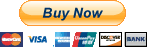 buy now button to paypal